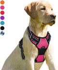 BARKBAY No Pull Dog Harness Front Clip Heavy Duty Reflective Easy Control Handle for Large Dog Walking(Pink,M)