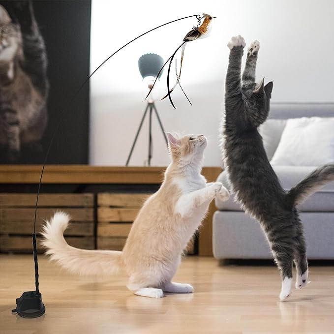 Interactive Suction Cup Cat Toy for Indoor Cat, Long Tail Feather Bird, Spring Wire Suctions to Ground, Hands Free Bird Simulation Cat Toy Wand Set that Sticks to Floor, Feathers & Bells