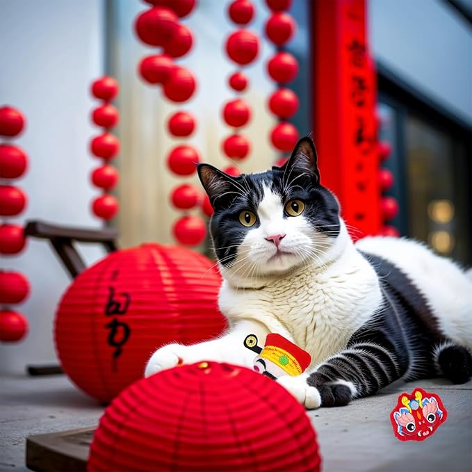 Lunar New Year Cat Toys for Bored Indoor 6 Pcs Xmas Plush Catnip Toys Training Kitten Chewing Interactive Toys Chinese Red