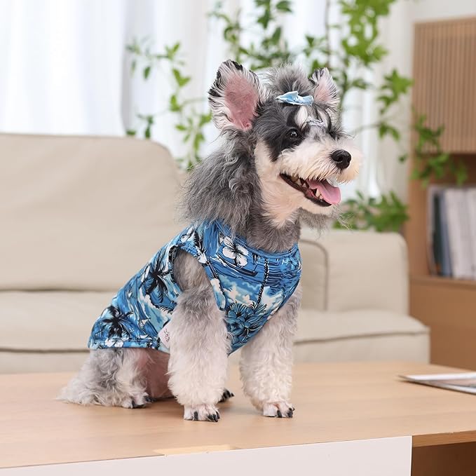 CuteBone Dog Shirts 2-Pack Soft Pet Clothes Breathable Summer Vest for Small Puppy and Stretchy Cat Apparel 2BX19XS