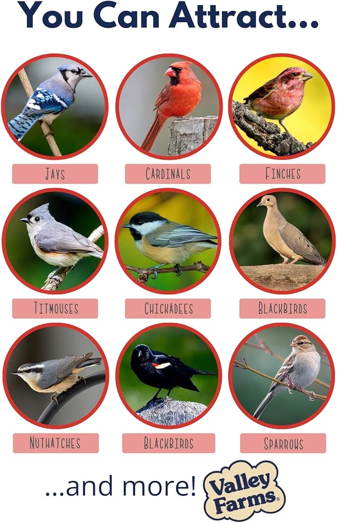 Valley Farms Deluxe Blend 4 LB 2-Pack (8 LBS Total) Wild Bird Food for Outside Feeders with Black Oil Sunflower Seed and Safflower Seed for Birds - A Select Birdseed