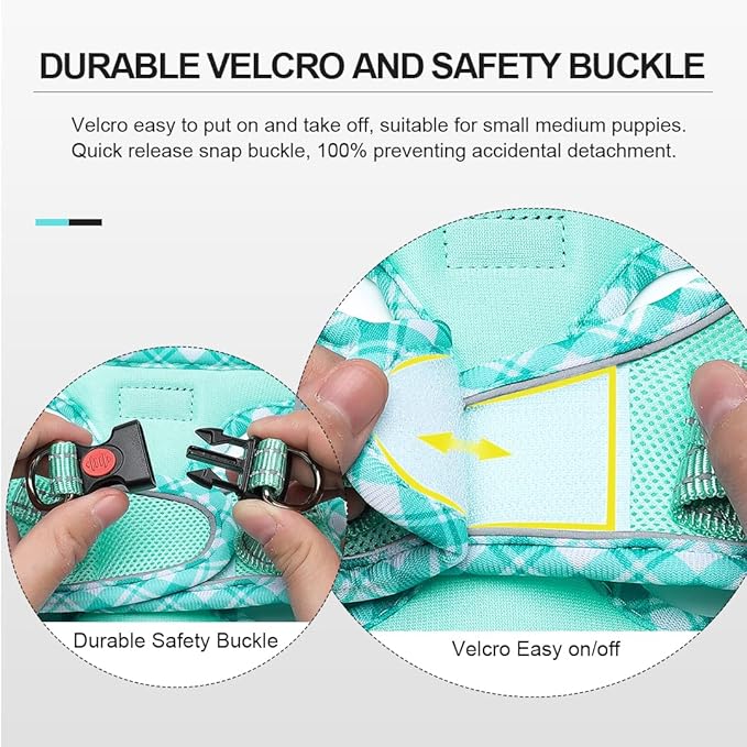 Mercano Soft Mesh Dog Harness and Leash Set, No-Chock Step-in Reflective Breathable Lightweight Easy Walk Vest Harnesses with Safety Buckle for Small Dogs, Cats (Light Green, M)