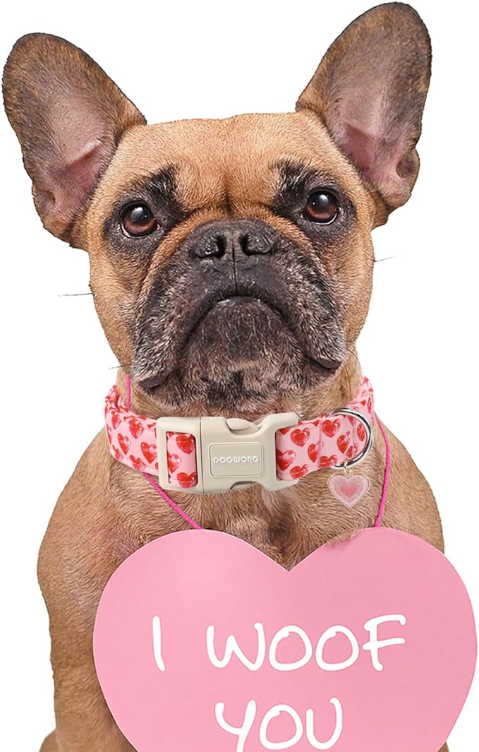 DOGWONG Valentine Dog Collar- Cute Pink Heart Dog Collars Adjustable Durable Designer Valentine’s Day Dog Collar for Small Medium Large Dogs S