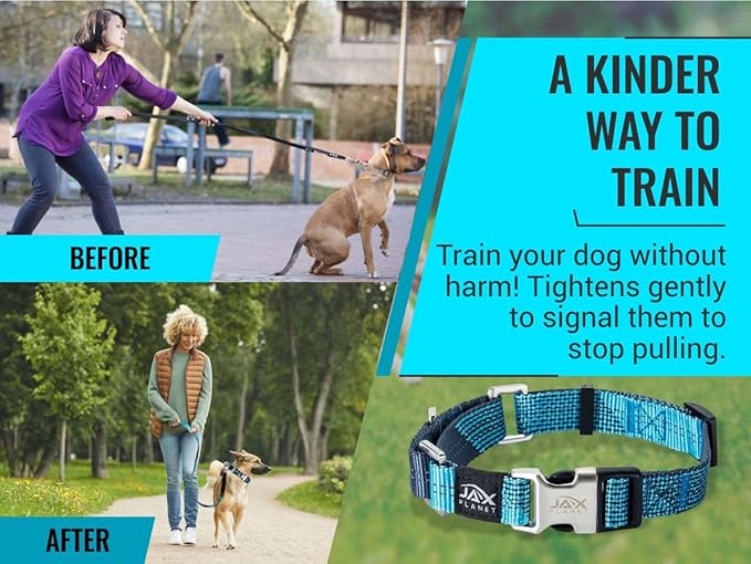 Black Martingale Collar for Dogs - Heavy Duty Nylon Pet Collars for Escape-Free, No Pull Training & Walking with Alloy Metal Release Buckle & Reflective D Ring, One Time Adjustment, Safe & Secure, M