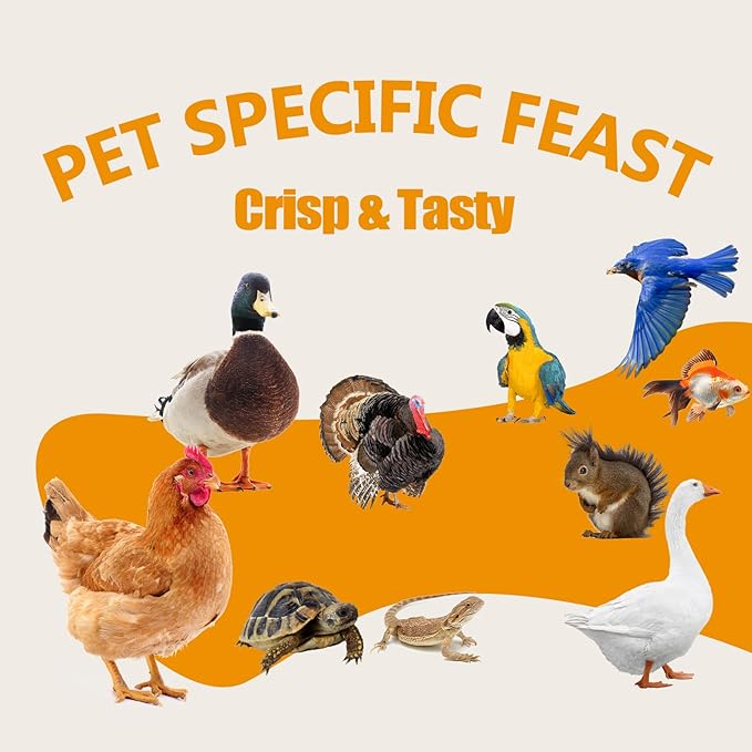 Dried Mealworms for Chickens & Birds Treats Bulk, 5LB Non-GMO Meal Worms Dried for Wild Birds, Turkeys, Reptile Feed - High Protein Grub Chicken Worms for Laying Hens, 100% Natural Mealworms Bird Food