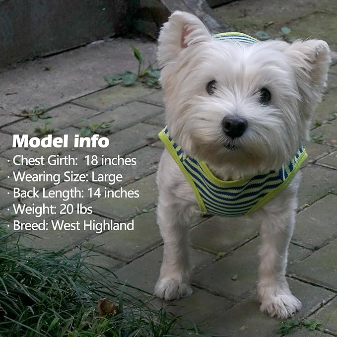 KYEESE 2Pack Dog Shirts Striped for Small Dogs Soft Stretchy T-Shirts Lightweight Tank Top Sleeveless Dog Vest Breathable Cat Shirt, Small, Orange+Green