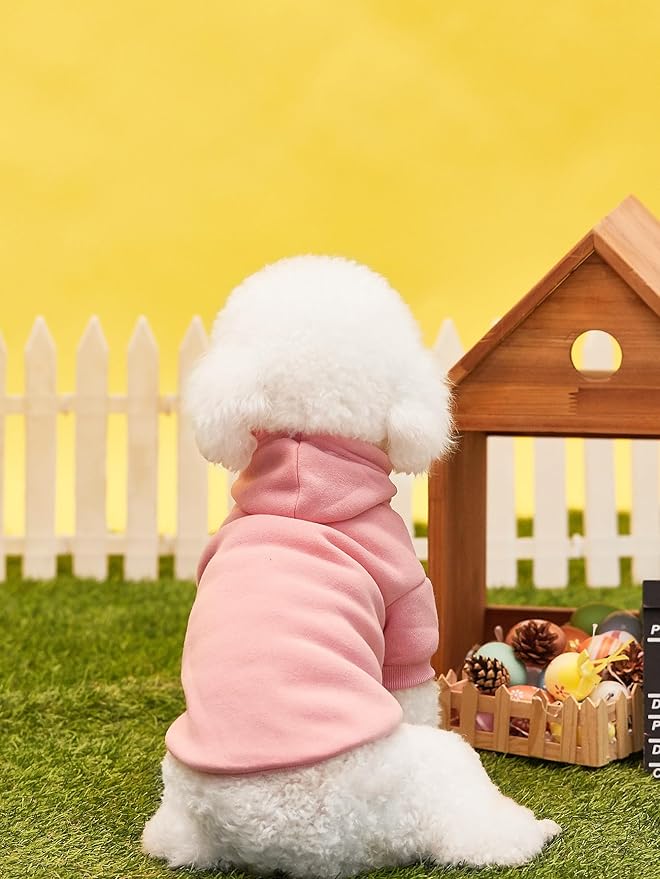 QWINEE Basic Dog Hoodie Sweatshirt Puppy Sweater Warm Cat Costumes Pet Clothes for Chihuahua Puppy Kitten Small Medium Dogs Pink and Green Small