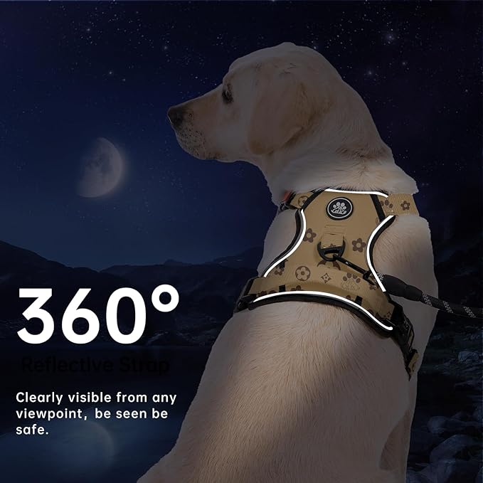 IVY&LANE No Pull Dog Harness with Leash Set, Reflective No Choke Pet Vest,Adjustable Oxford Dog Vest Harness with Easy Control Handle for Medium Dogs (Light Brown,M)