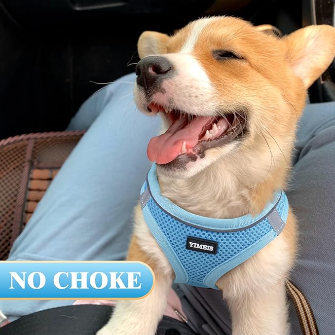 YIMEIS Dog Harness and Leash Set, No Pull Soft Mesh Pet Harness, Reflective Adjustable Puppy Vest for Small Medium Large Dogs, Cats (Sky Blue, Medium (Pack of 1)