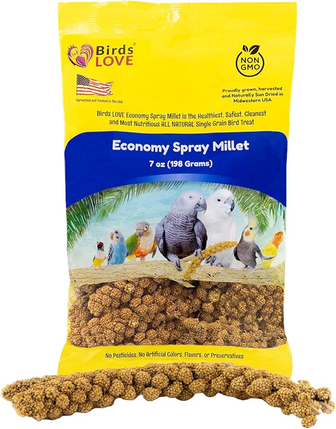 Birds LOVE Economy Special Spray Millet GMO-Free (No Stems Only Edible Tops) for Birds Cockatiel Lovebird Parakeet Finch Canary All Parrots Healthy Treat - 7oz