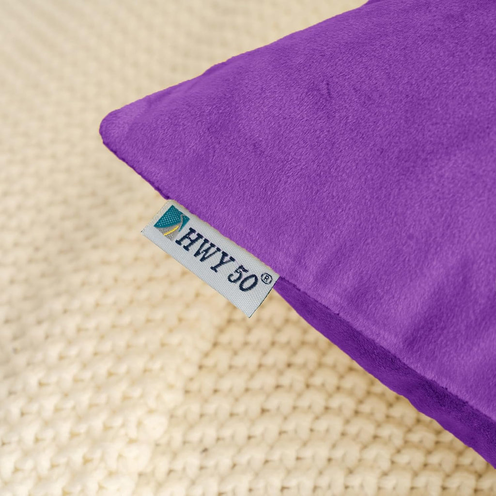 HWY 50 Purple Velvet Throw Pillow Covers 16x16 Inch, Pack of 2 Soft Cozy Solid Decorative Luxury Cushion Cases for Couch Sofa Bed Living Room Bedroom