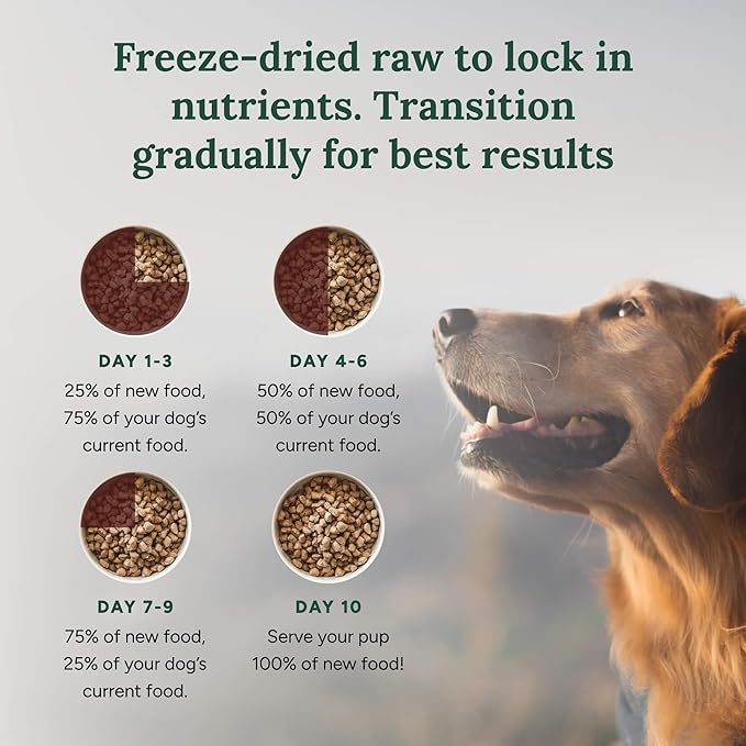 360 Pet Nutrition Freeze-Dried Raw Dog Food – Beef Recipe with Liver & Organs, High Protein with Omega-3s, Fruits, Veggies & Superfoods, Grain-Free, No Fillers, 5 oz – Made in USA