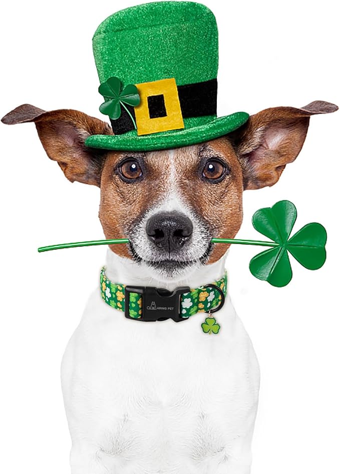 ARING PET St Patrick's Day Dog Collar-Cute Green Clovers Dog Collars, Adjustable Shamrock Pet Collars Trefoil Puppy Collar Gifts with Quick Release Buckle for Girl&Boy Dogs