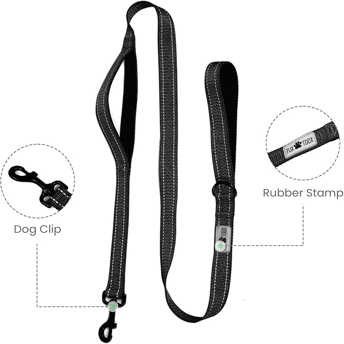 Dog Leash- 6 FT Leashes for Small to Large Dogs, Double Handle Dog Leash, Reflective Walking Training Lead (Dog Leash (Black), 6 FT Dog Leash)