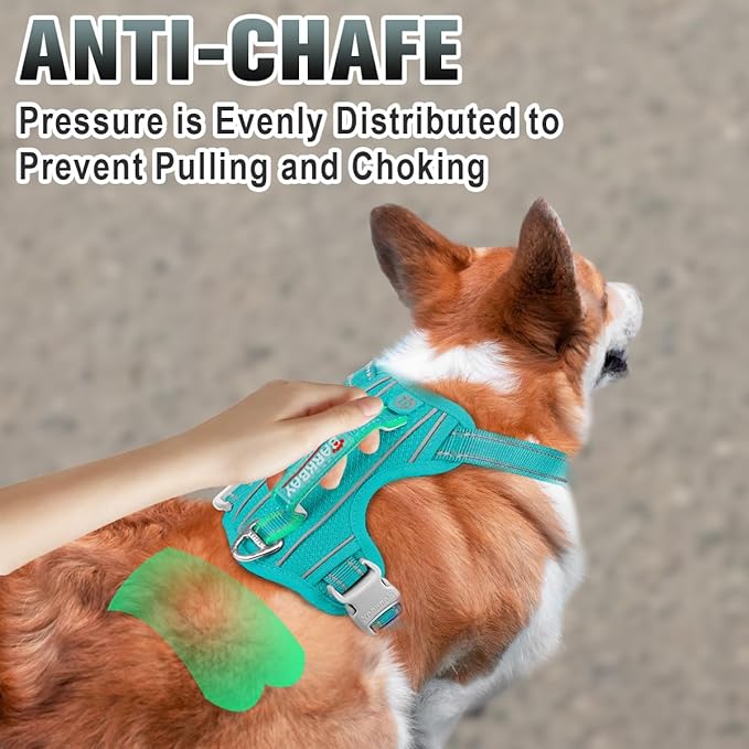 BARKBAY No Pull Dog Harness Large Reflective Dog Harness with Front Clip and Easy Control Handle for Walking Training Running with ID tag Pocket(Ocean Blue,XS)