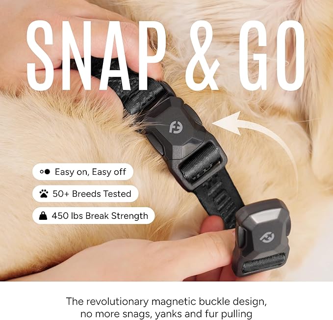 2025 New Edition, Fei & Eve MagEase Dog Collar - Patented Magnetic Buckles | Fur-Safe | Premium 210D Nylon | 450LB Escape-Proof | Adjustable Fit | Medium (Black)