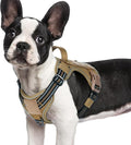 rabbitgoo Dog Harness Small Sized No Pull, Tactical Service Pet Vest with Molle and Control Handle, Adjustable and Reflective Military Harness for Easy Walking and Training, Brown, S