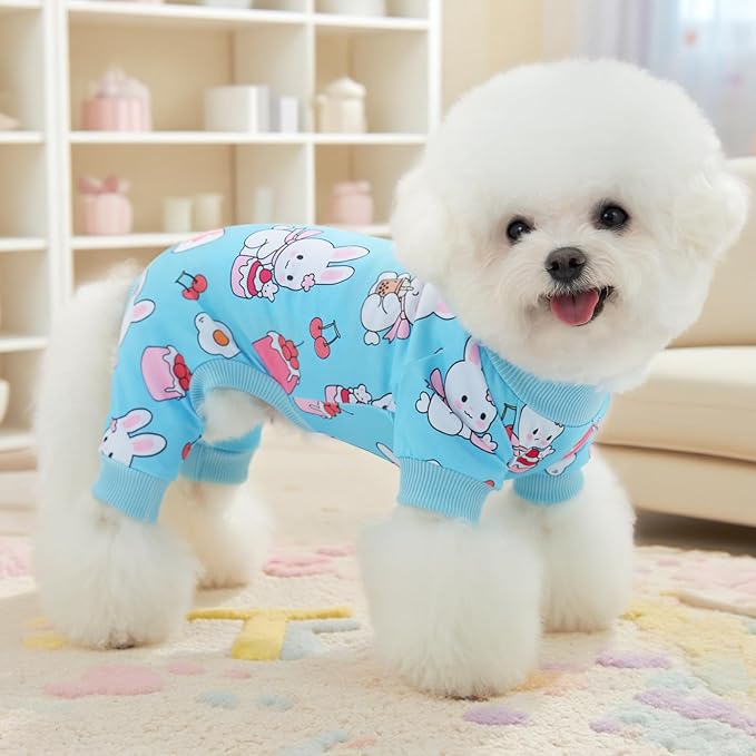 XPUDAC 4 Pieces Dog Pajamas for Small Dogs Boy Girl Soft Stretchy Pjs Onesies Puppy Clothes for Dog Cat Pet Outfits, Large
