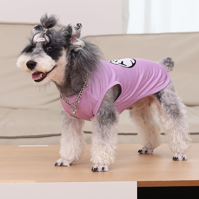 CuteBone Dog Shirts 2-Pack Soft Pet Clothes Breathable Summer Vest for Small Puppy and Stretchy Cat Apparel 2BX21S-D