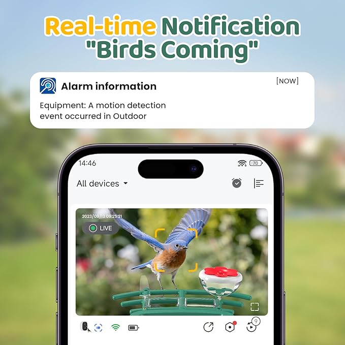 Bird Feeder with Camera Outdoor Solar: Smart Birdfeeder with AI Recognition - 2K HD Live Stream Video Camera for Outside Wild Birds Garden Decor - Bird Lover Gifts