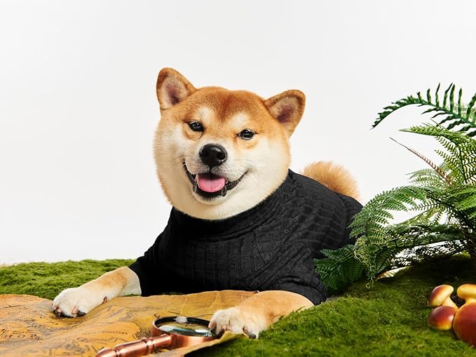 Dog Turtleneck Knitted Shirt Stretchy Pullover Sweater Winter Warm Puppy Clothes for Small Medium Dogs