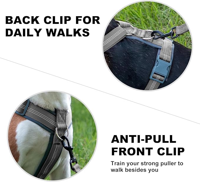 Plutus Pet No Pull Dog Harness, Adjustable Nylon Harness with Soft Padding, Reflective and Heavy Duty Dog Harness for Small, Medium, Large Dogs(Gray, M)
