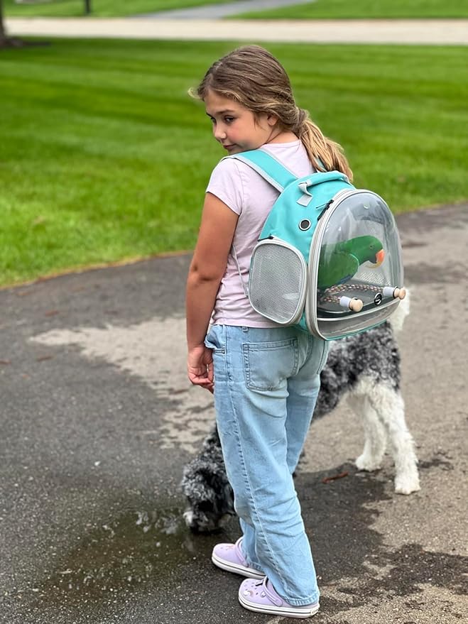 Small Bird Travel Backpack Carrier Cage, Backpack to Transport Backpack Carrier with Metal Tray Stand Perch for Parakeet Cockatiel Budgies Vet Carry Book Bag