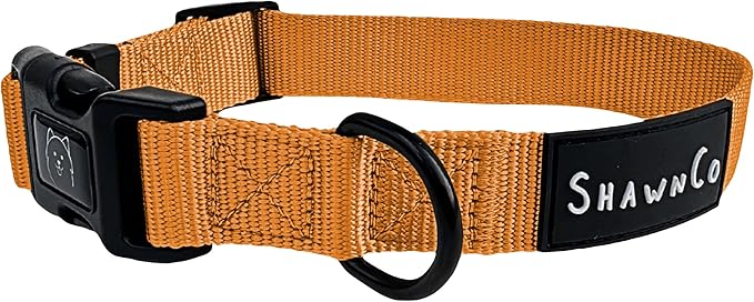 ShawnCo Dream Walk Dog Collar- Premium, Adjustable and Comfortable Pet Collar for Small, Medium, Large and Extra Large Dogs (M, Sunset Orange)