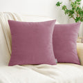 HWY 50 Purple Pink Velvet Throw Pillow Covers 18x18 Inch, Pack of 2 Soft Cozy Solid Decorative Luxury Cushion Cases for Couch Sofa Bed Living Room Bedroom