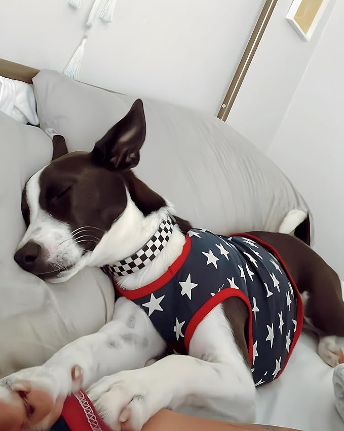 Fitwarm Patriotic Star Dog Shirt for 4th of July, Memorial Day, Independence Day, Holiday Dog Clothes for Small Dogs Boy Girl, Pet Cat Outfit, 100% Breathable Cotton, Red, Navy Blue, White, XXL