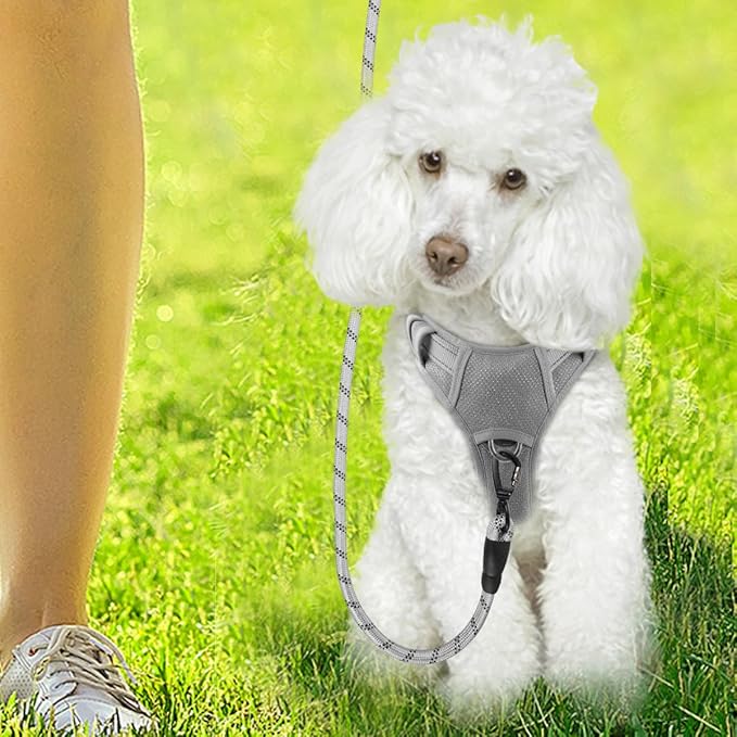 BARKBAY Dog Harness No Pull with ID Tag Pocket - Heavy Duty, Reflective, Easy Control for Large Dogs(Grey,XS)