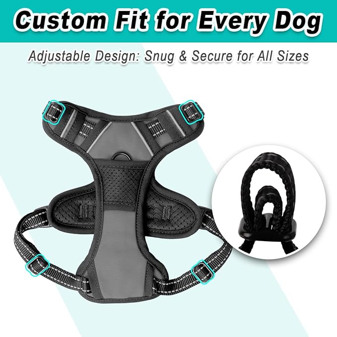 BARKBAY Dog Harness No Pull for Small Dogs - Adjustable, Reflective, Comfortable, No Choke, Heavy-Duty - Perfect for Outdoor Training, Walking, and Hiking - Strong & Durable - XS & Dark Grey