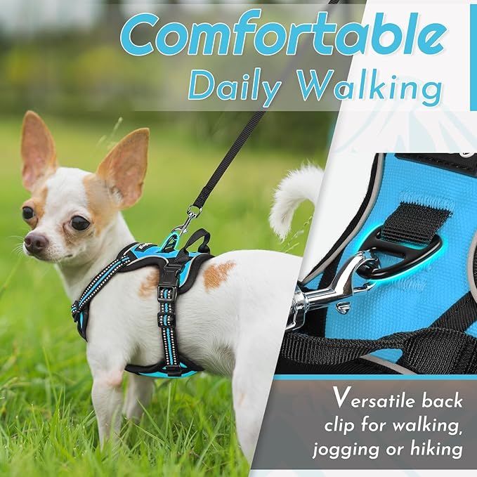 Eagloo Small Dog Harness No Pull, Service Vest with Reflective Strips and Control Handle, Adjustable and Comfortable for Walking, No Choke Pet Harness with 2 Metal Rings, Sky Blue, XS