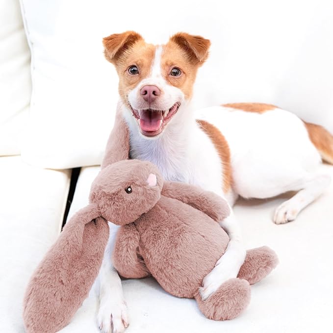 Best Pet Supplies Interactive Bunny Buddy Dog Toy with Crinkle and Squeaky Enrichment for Small and Medium Breed Puppies or Dogs, Cute and Plush - Bunny (Mauve)