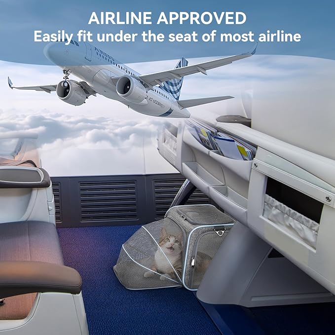 Petsfit Small Cat Carrier Soft Airline Approved Expandable Carrier for Kitten Puppy Bunny, 16"X10"X9“