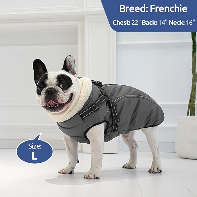 Dog Winter Coat with Harness Built in Warm Puffer Dog Jackets for Small Medium Large Dogs Windproof Waterproof Outfit with Plush Lining and Reflective Stripes (Blue, XL)