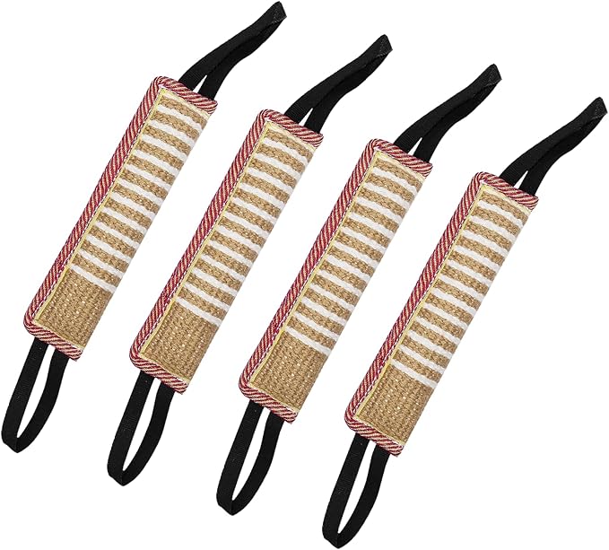 Interactive Dog Water Toys