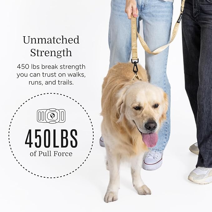 2025 New Edition, Fei & Eve MagEase Dog Collar - Patented Magnetic Buckles | Fur-Safe | Premium 210D Nylon | 450LB Escape-Proof | Adjustable Fit | Medium (Champagne)