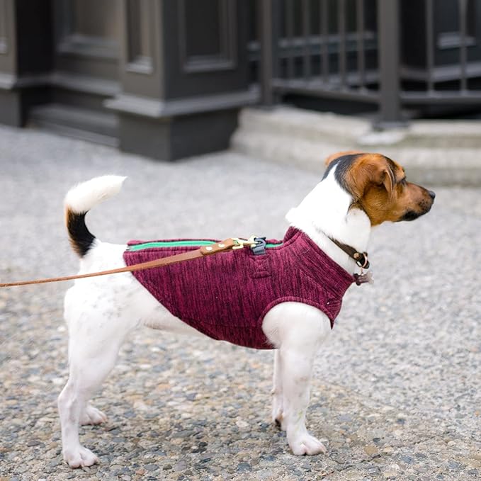 Gooby Boys X-Small Chest (~11 Inch) Zip Up Fleece, Fuchsia Wash, X-Small 11 US