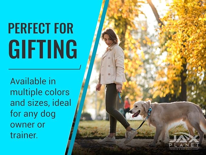 Blue Martingale Collar for Dogs - Heavy Duty Nylon Pet Collars for Escape-Free, No Pull Training & Walking with Alloy Metal Release Buckle & Reflective D Ring, One Time Adjustment, Safe & Secure, M