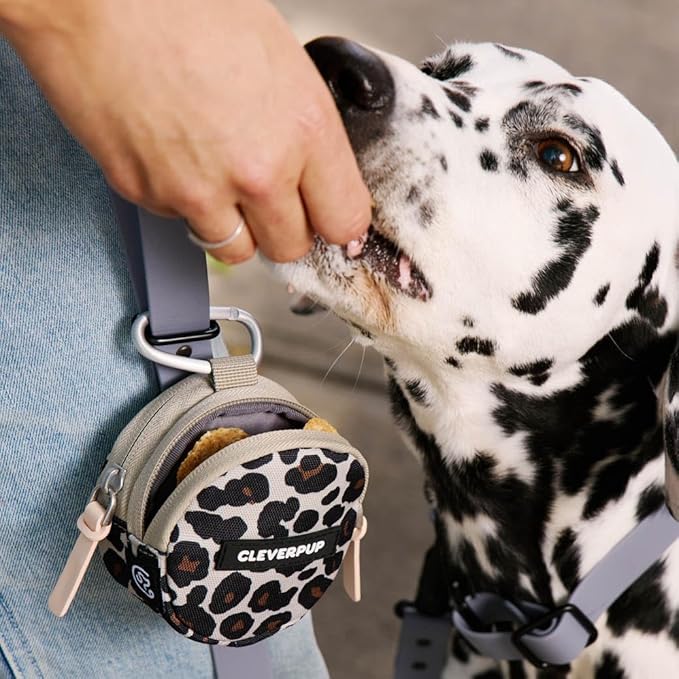 Snackpack Double Insulated Dog Treat Pouch - Holds 1.5 Cups - Dog Training and Walks Snack Bag, Two Pockets for Dry or Wet Treats, Attaches to Leash, Belt, or Bag - Leopard