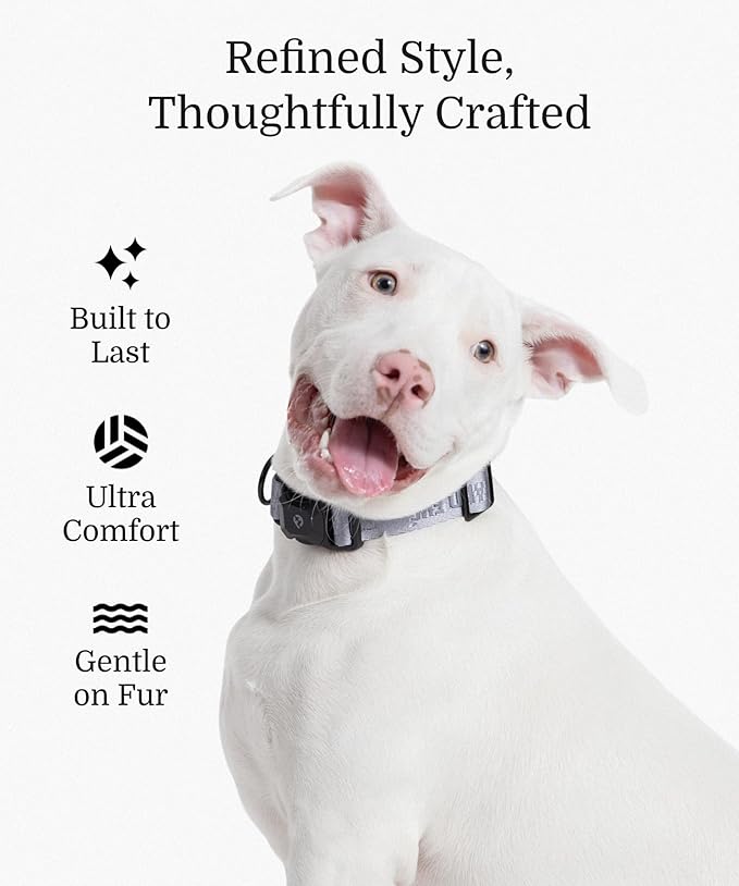 2025 New Edition, Fei & Eve MagEase Dog Collar - Patented Magnetic Buckles | Fur-Safe | Premium 210D Nylon | 450LB Escape-Proof | Adjustable Fit | Medium (Twilight Gray)