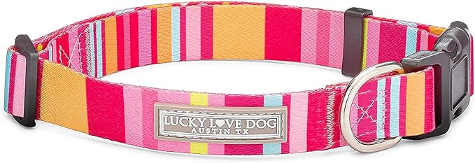 Lucky Love Dog - Adjustable Dog Collar with Easy Click Buckle for Small to Large Ones, Durable, & Comfortable for Male & Female Dogs, Pet Collar for Puppies & Adult Dogs - Molly, Small