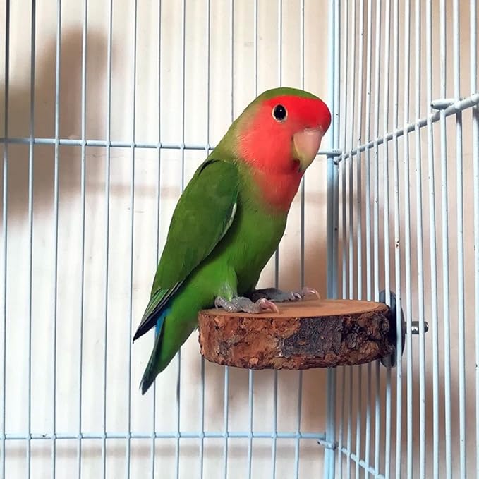 4PCS Natural Wood Bird Perches for Cage, Parrot Cage Perch Stand, Cage Accessories, Wooden Platform for Birds, Toys for Parakeets, Cockatiel, Budgie, Conure