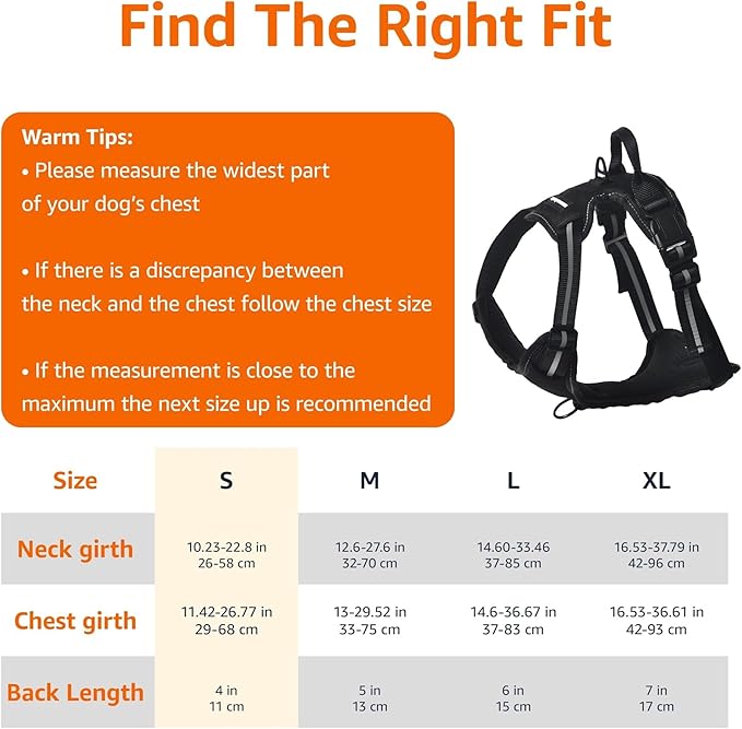 Amazon Basics No-Pull Dog Harness, Adjustable Soft Padded Vest with Reflective Stripes, Small, Black