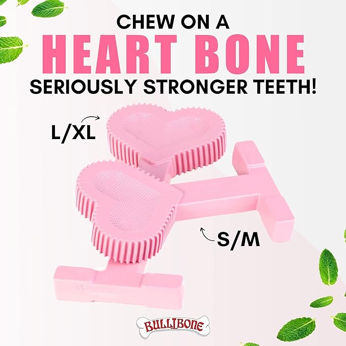 Bullibone Nylon Dog Chew Toy Nylon Bone - Improves Dental Hygiene, Easy to Grip Bottom, and Permeated with Flavor (Peppermint, Large - 2 Pack)