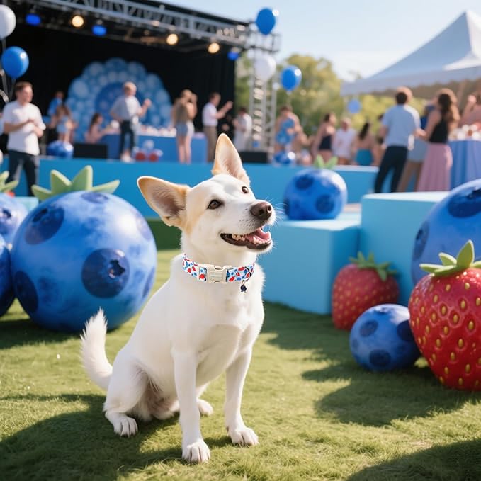 DOGWONG Strawberry Dog Collar, Blue Dog Collars Blueberry Adjustable Cute Pet Collars Girl Design Dog Collar for Small Medium Large Dogs