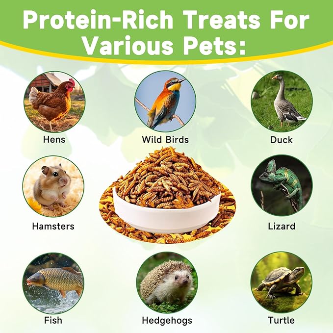 2LB Dried Black Soldier Fly Larvae Treat for Chicken, 100% Natural Non-GMO More Calcium Than Dried Mealworms High Protein Chicken Feed for Birds, Ducks, Layer Hens