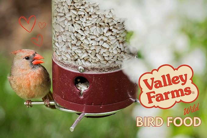 Valley Farms Safflower Seed Wild Bird Food 4 LB 2-Pack (8 LB Total) for Outside Feeders, Safflower Bird Seed for Cardinals, Grosbeaks, and Buntings, Cardinal Birdseed for Outside Feeders