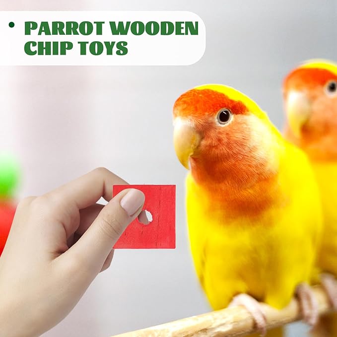 Parrot Toys 100 Pcs Wooden Blocks Bird Chewing Trim Beak Foot Craft Cage Part Mini Wood Chip Charms DIY Playing Chewing Shredding Mixed Large Bird Toys (Pack of 2)